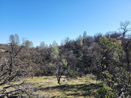 Property for sale in Shasta County, California