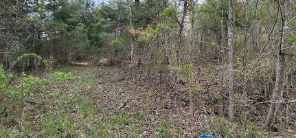 Property for sale in Greenup County, Kentucky