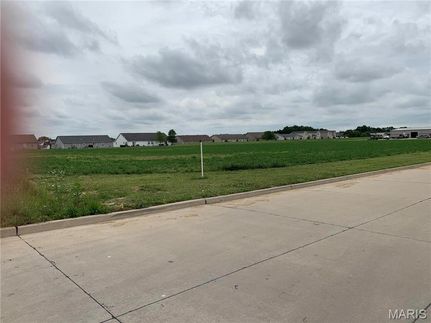 Undeveloped Land for sale in Clinton County, Illinois