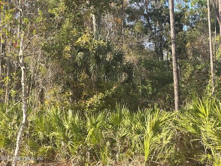 Property for sale in Putnam County, Florida