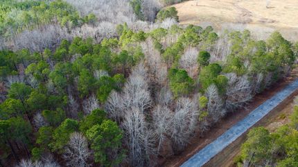 Property for sale in Clay County, Alabama
