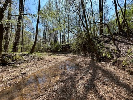 Property for sale in Panola County, Mississippi