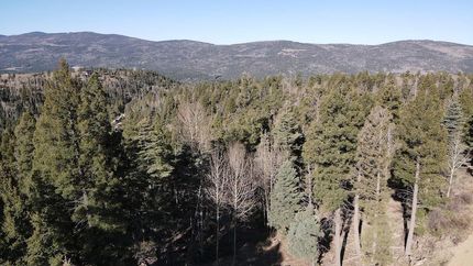 Property for sale in Colfax County, New Mexico