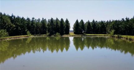 Property for sale in Avoyelles Parish, Louisiana