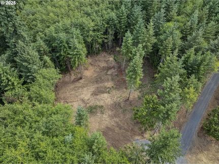Undeveloped Land for sale in Cowlitz County, Washington