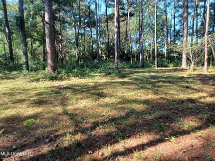 Property for sale in Pearl River County, Mississippi