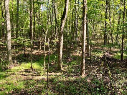 Property for sale in Abbeville County, South Carolina