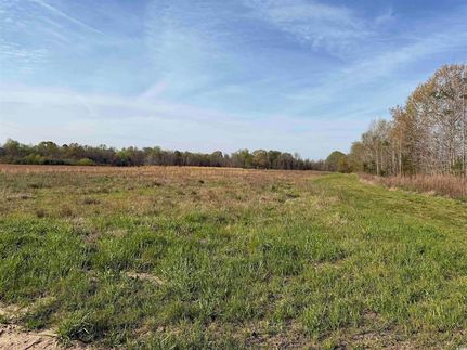 Property for sale in Marion County, South Carolina