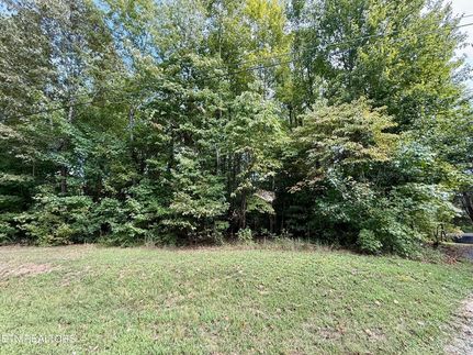Waterfront Property for sale in Roane County, Tennessee