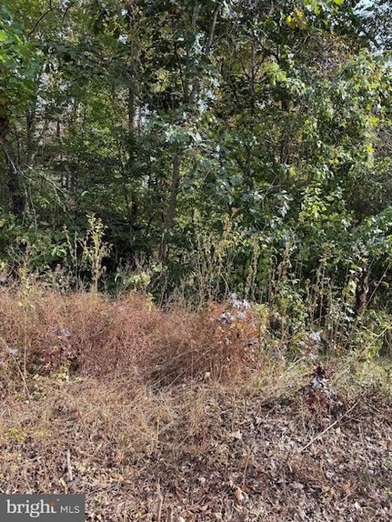 Property for sale in Westmoreland County, Virginia