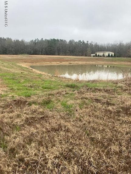 Property for sale in Benton County, Mississippi