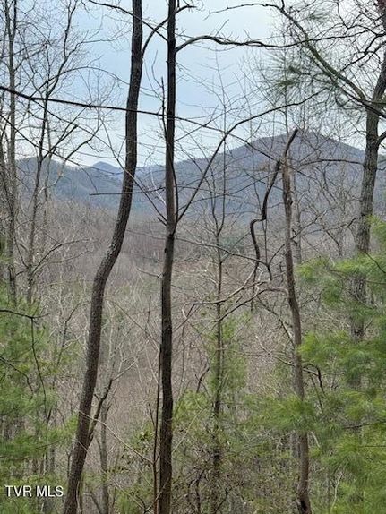 Property for sale in Unicoi County, Tennessee