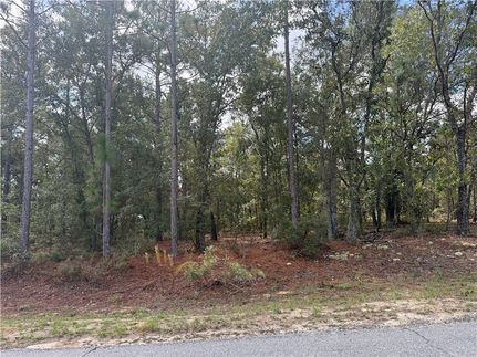 Property for sale in Pierce County, Georgia