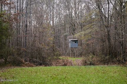 Property for sale in Choctaw County, Mississippi