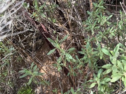 Property for sale in San Diego County, California