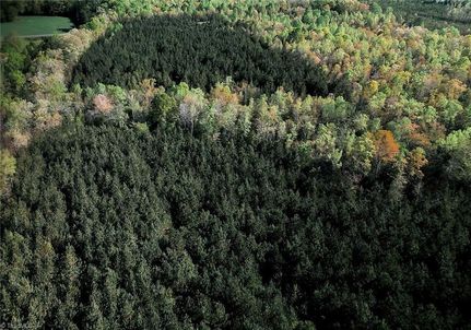 Property for sale in Randolph County, North Carolina