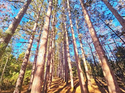 Property for sale in Adams County, Wisconsin