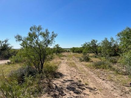 Undeveloped Land for sale in Concho County, Texas