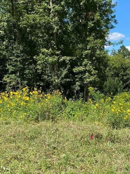 Property for sale in Scott County, Minnesota