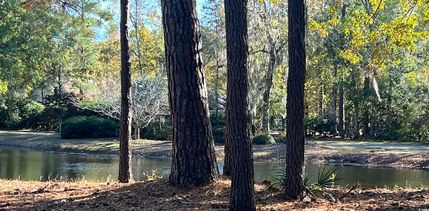 Property for sale in Georgetown County, South Carolina