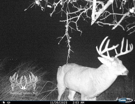 Property for sale in Ford County, Kansas