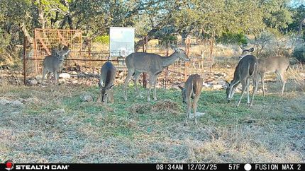 Recreational Property for sale in Edwards County, Texas