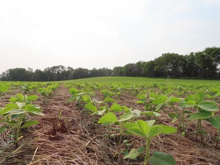 Property for sale in McIntosh County, North Dakota