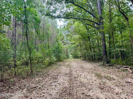 Timberland Property for sale in Madison County, Mississippi