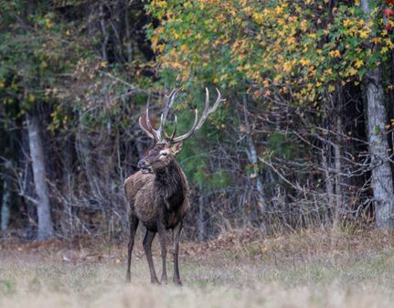 Property for sale in Nacogdoches County, Texas