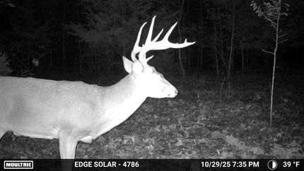 Property for sale in Texas County, Missouri