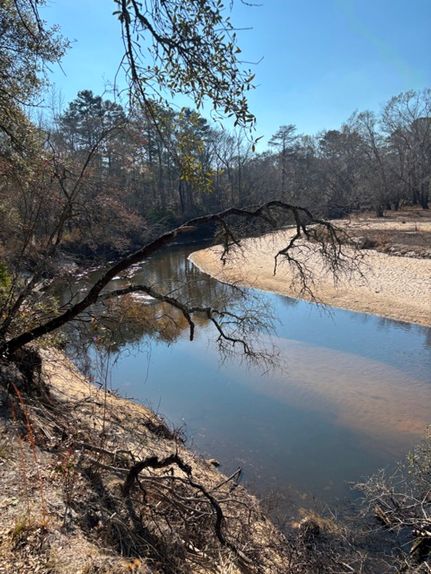 Recreational Property for sale in Tattnall County, Georgia