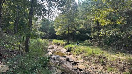 Property for sale in Cleburne County, Arkansas