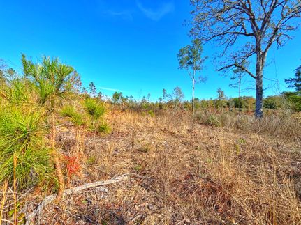 Farm Property for sale in Anderson County, Texas