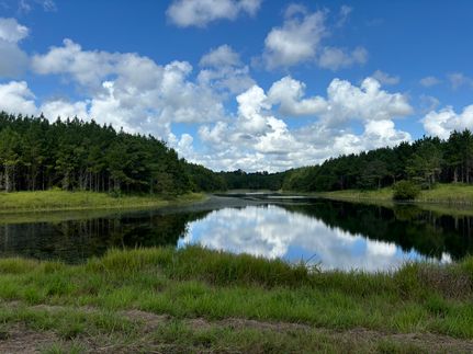 Hunting Land for sale in Decatur County, Georgia