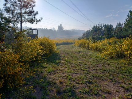 Property for sale in Person County, North Carolina