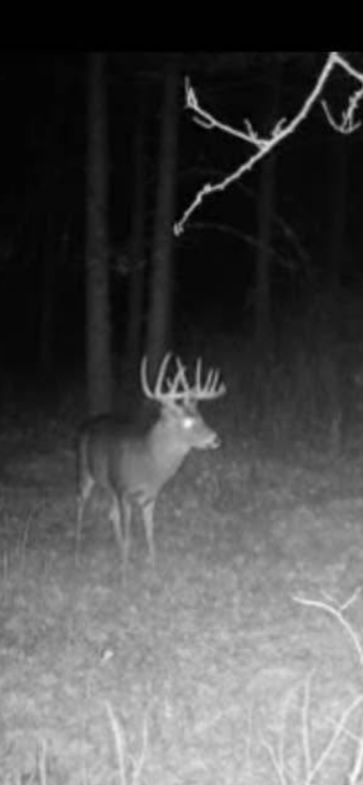 Property for sale in Marengo County, Alabama