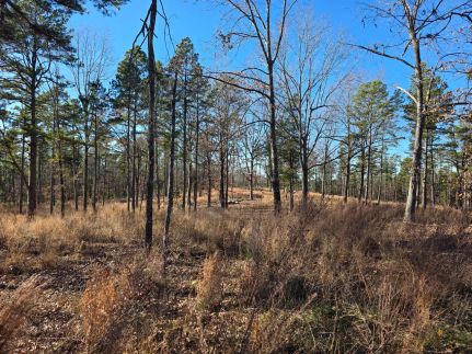 Hunting Land for sale in Izard County, Arkansas