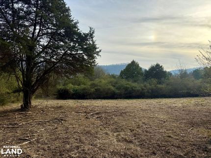 Property for sale in Saint Clair County, Alabama