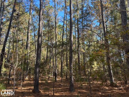 Property for sale in Williamsburg County, South Carolina