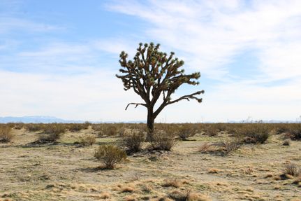 Property for sale in San Bernardino County, California