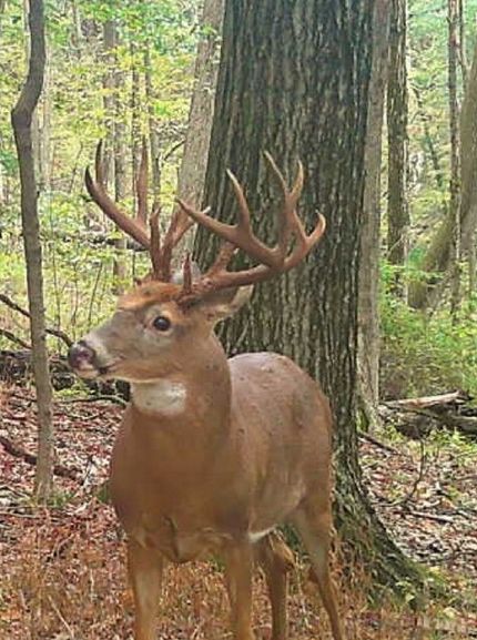 Property for sale in Monroe County, Ohio