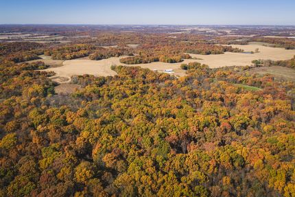 Timberland Property for sale in Pike County, Illinois