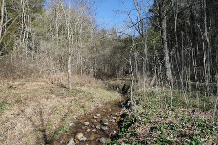 Property for sale in Lee County, Virginia