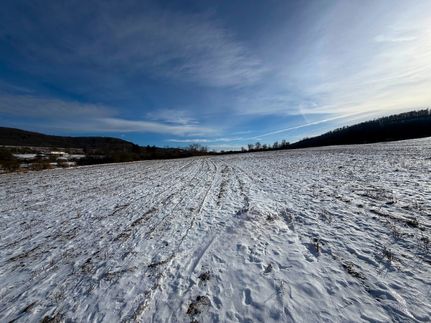 Property for sale in Allegany County, New York