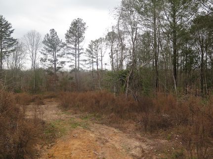 Timberland Property for sale in Jones County, Mississippi