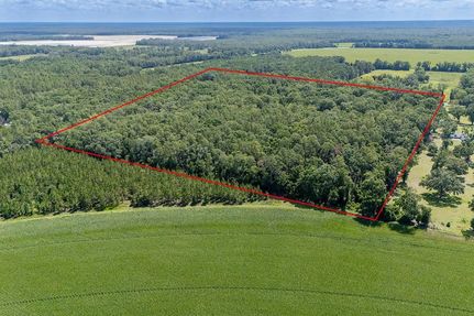 Property for sale in Dixie County, Florida
