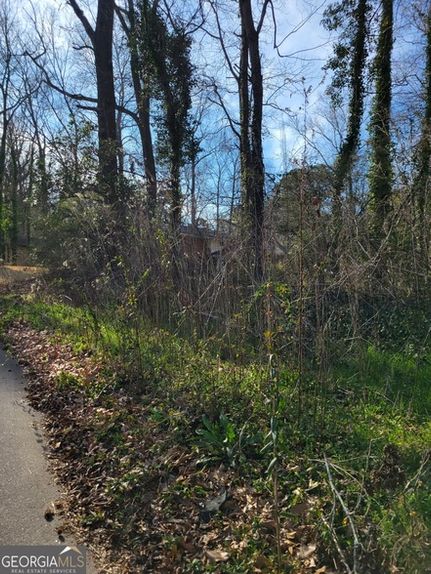 Undeveloped Land for sale in Gwinnett County, Georgia