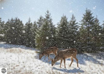 Property for sale in Grand Traverse County, Michigan