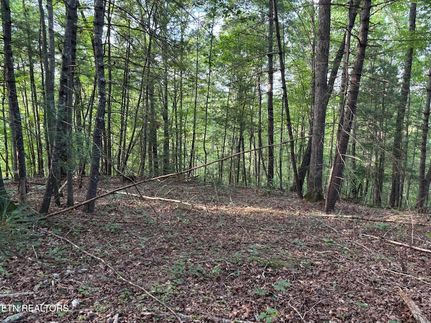 Property for sale in Scott County, Tennessee