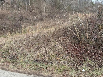 Property for sale in Scott County, Tennessee